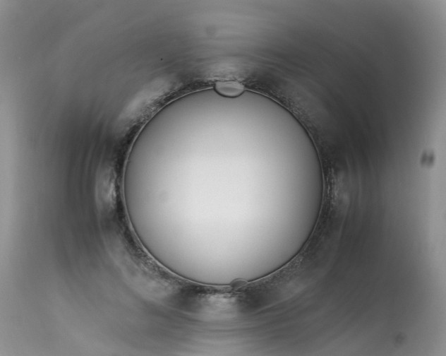 X0000113090692200909111027