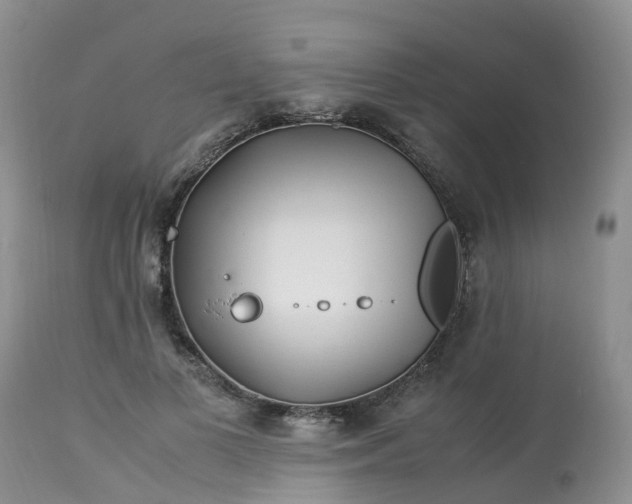 X0000113090693200909111027
