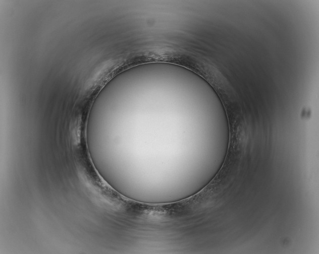 X0000113090694200909111027