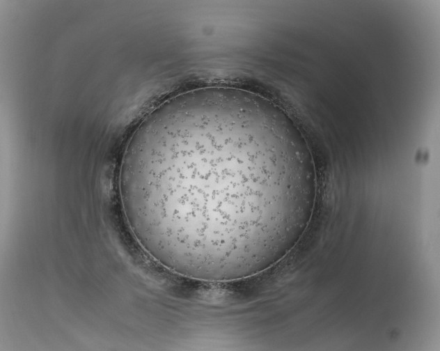 X0000113090695200909111027