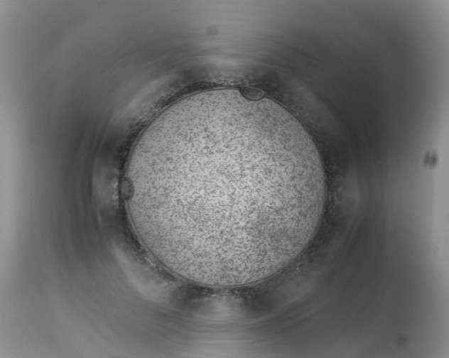 X0000113090696200909111027