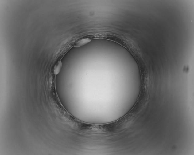 X0000113090697200909111027