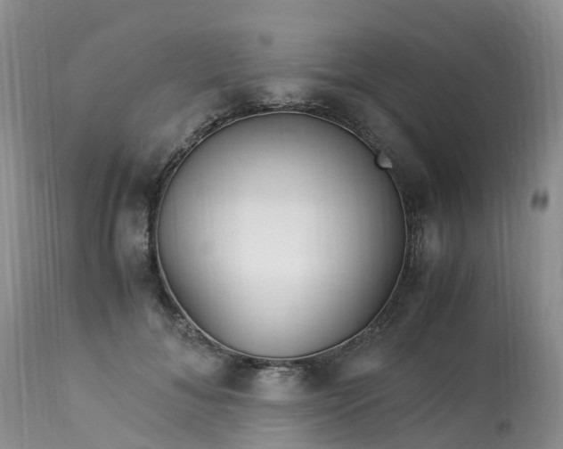 X0000113090700200909111027