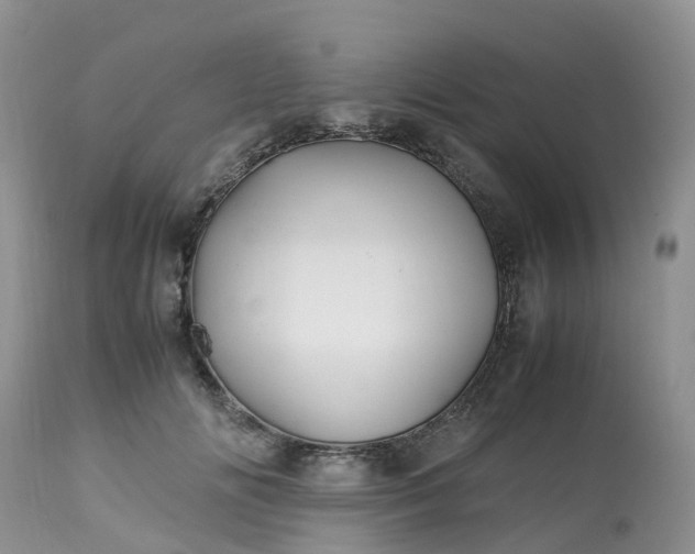 X0000113090702200909111027