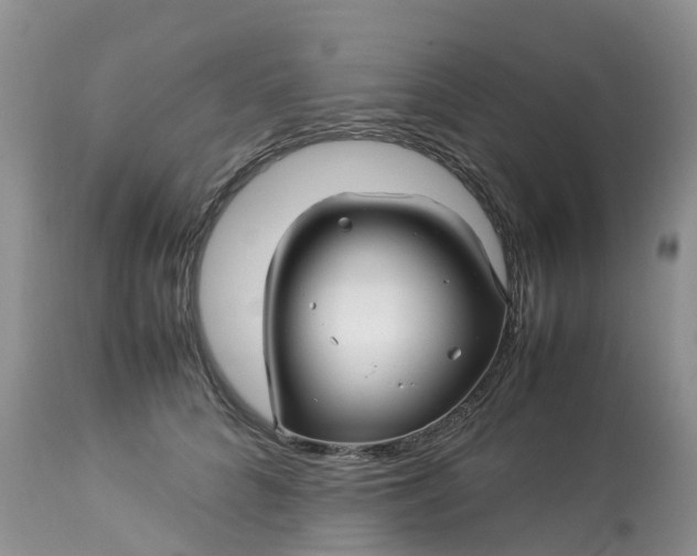 X0000113090704200909111027