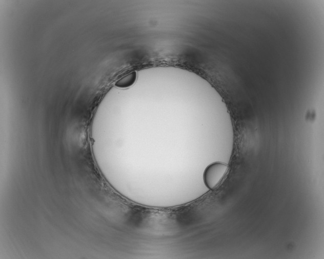 X0000113090709200909111027