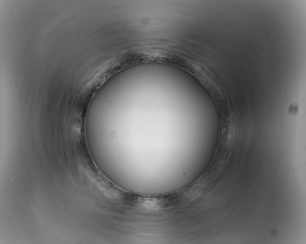 X0000113090710200909111027