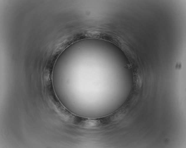 X0000113090711200909111027