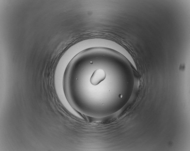 X0000113090713200909111027