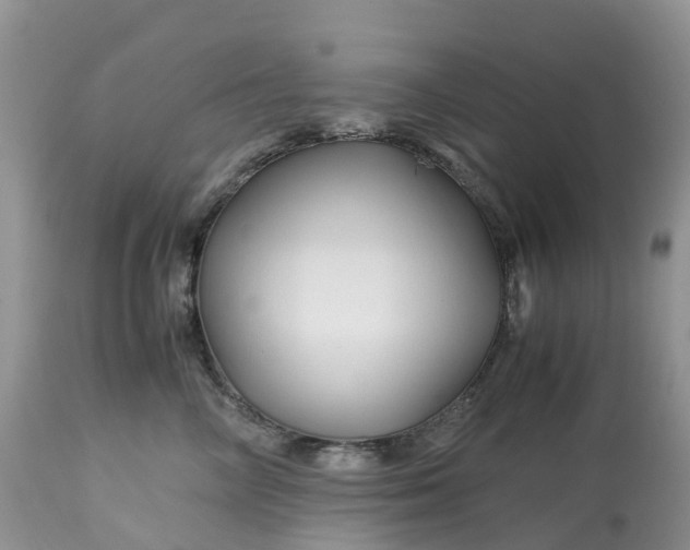 X0000113090714200909111027