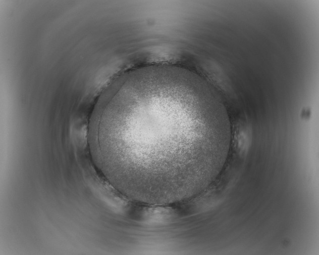 X0000113090716200909111027