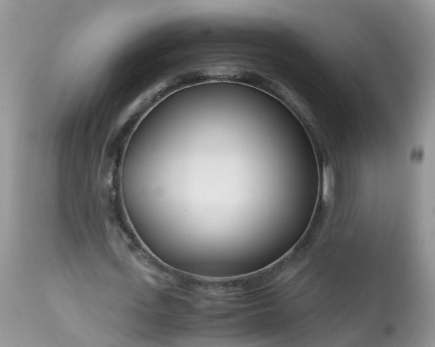 X0000113090723200909111026