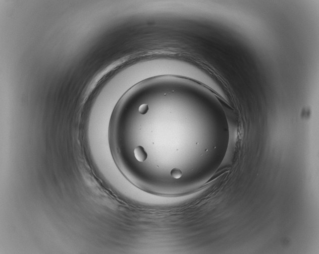 X0000113090724200909111026