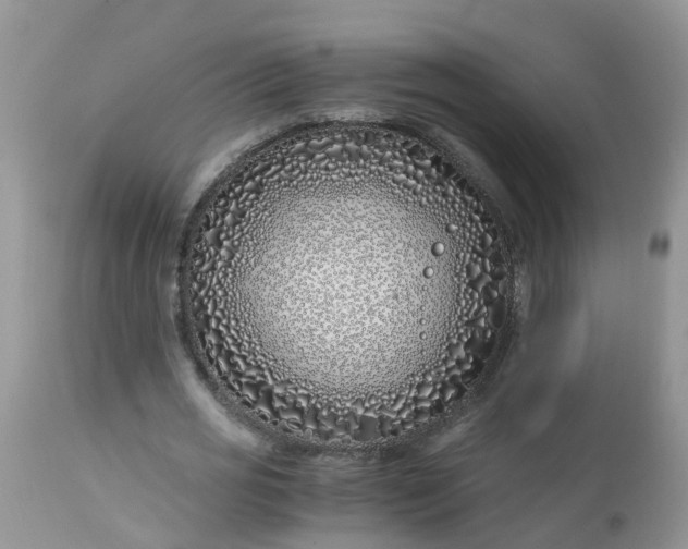 X0000113090725200909111026