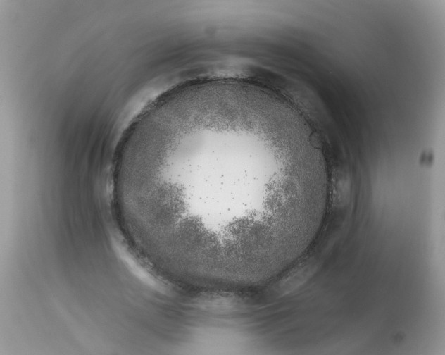 X0000113090726200909111026