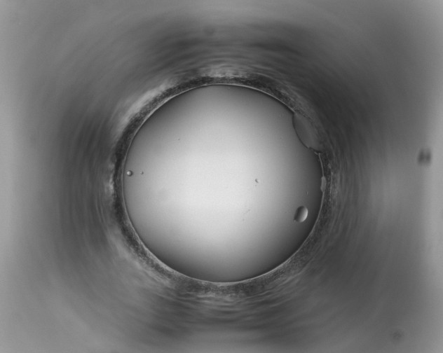 X0000113090727200909111026