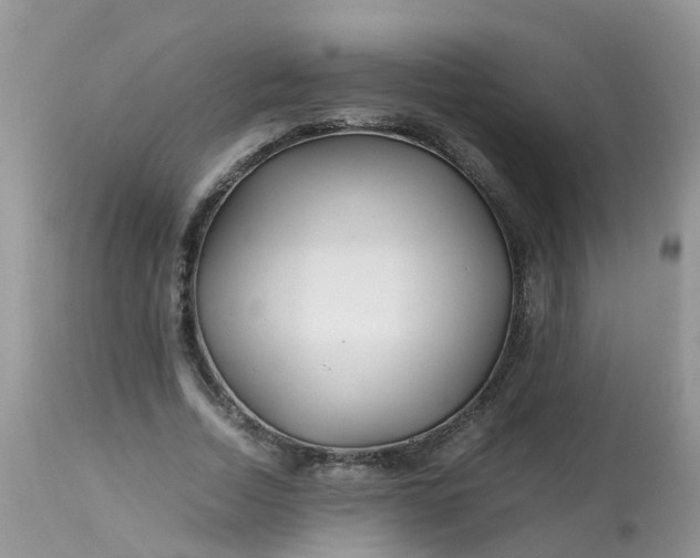 X0000113090730200909111026
