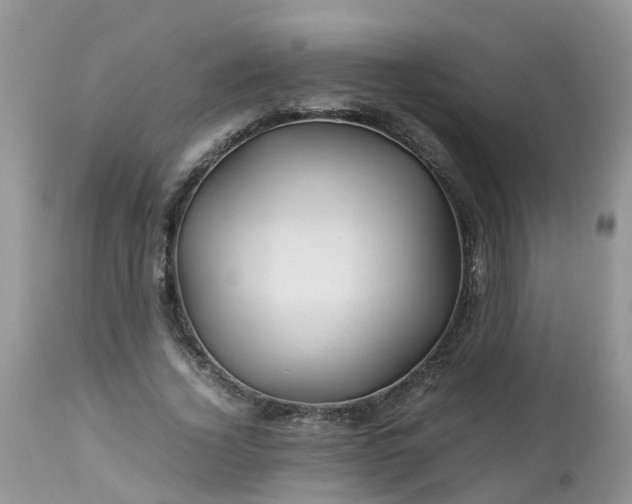 X0000113090732200909111026