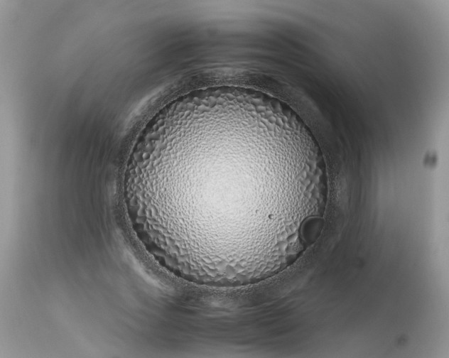 X0000113090733200909111026