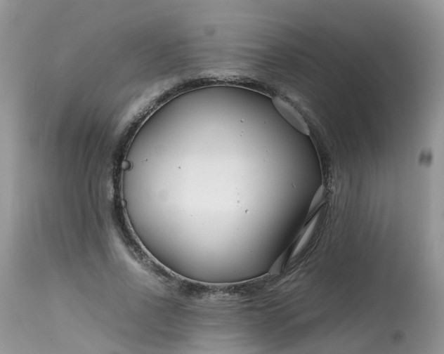 X0000113090734200909111026