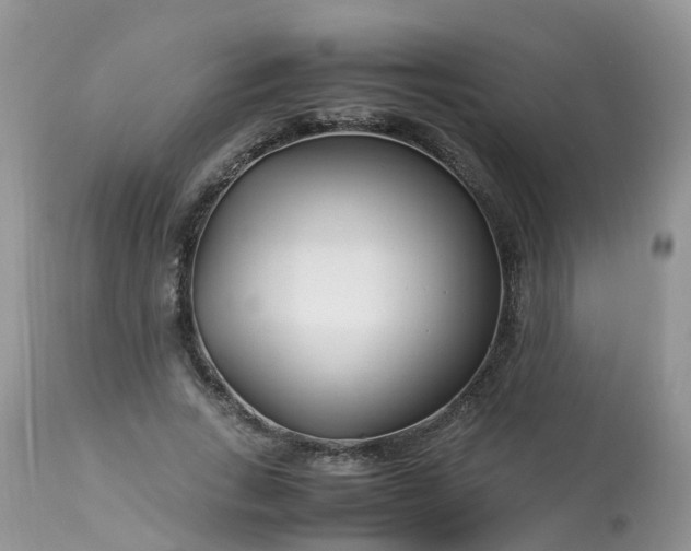 X0000113090735200909111026