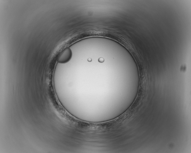 X0000113090736200909111026