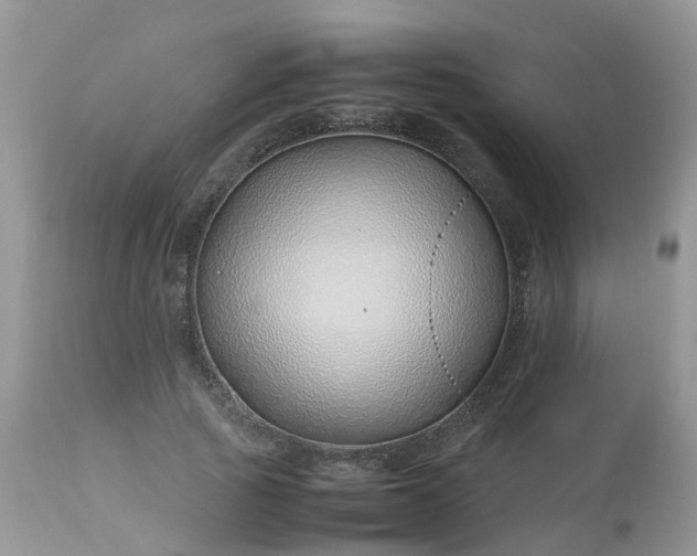 X0000113090737200909111026