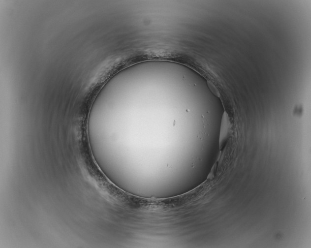 X0000113090738200909111027