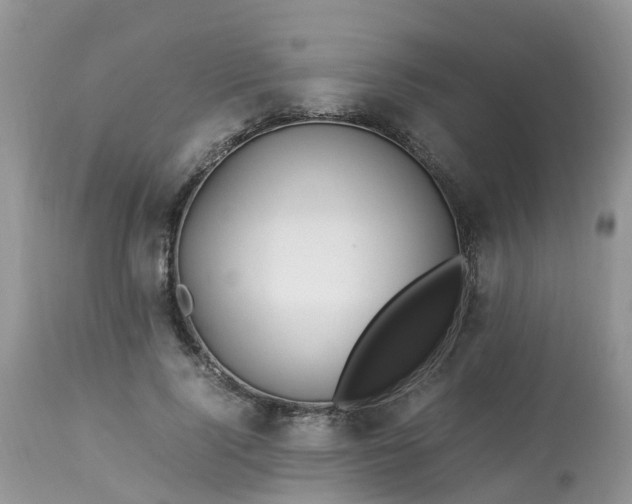 X0000113090740200909111027