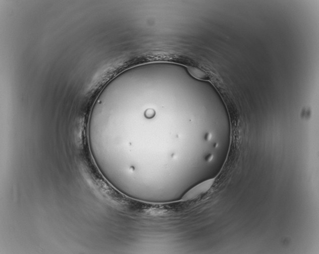 X0000113090742200909111027