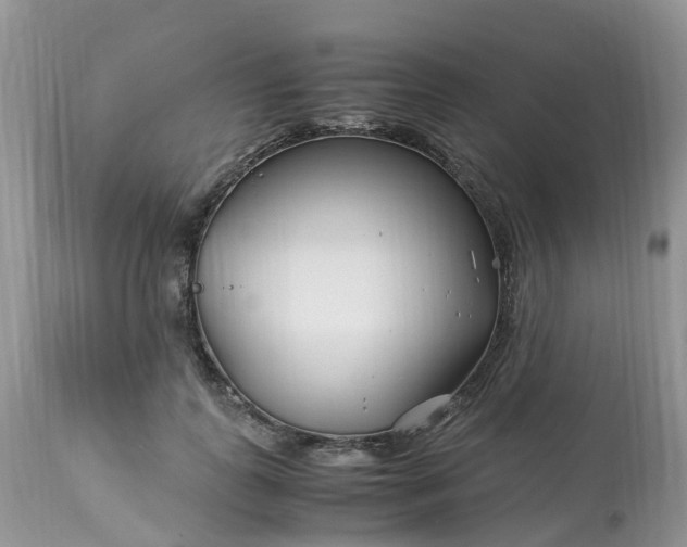 X0000113090747200909111027