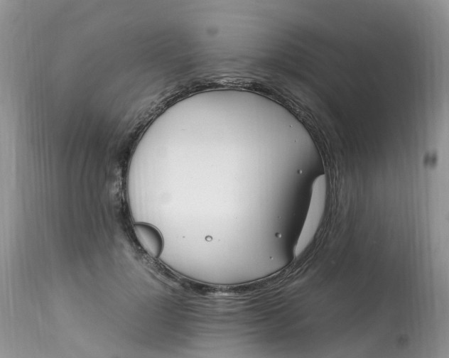 X0000113090748200909111027