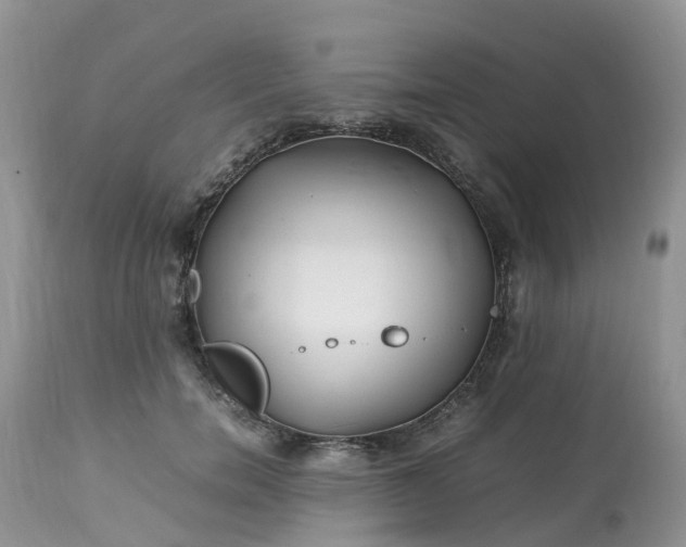 X0000113090750200909111027