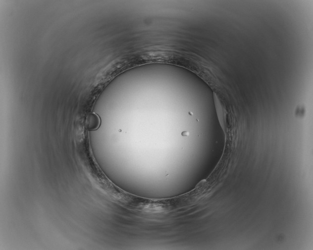 X0000113090751200909111027