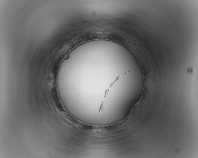 X0000113090752200909111027