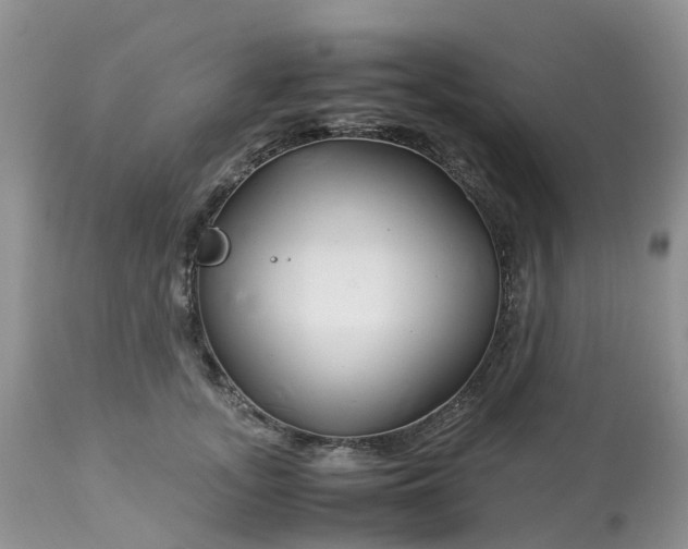 X0000113090755200909111027
