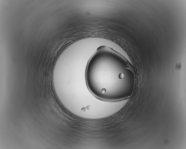 X0000113090756200909111027
