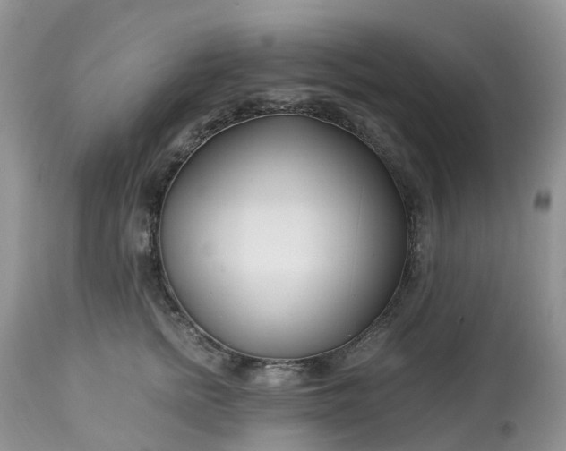 X0000113090758200909111027