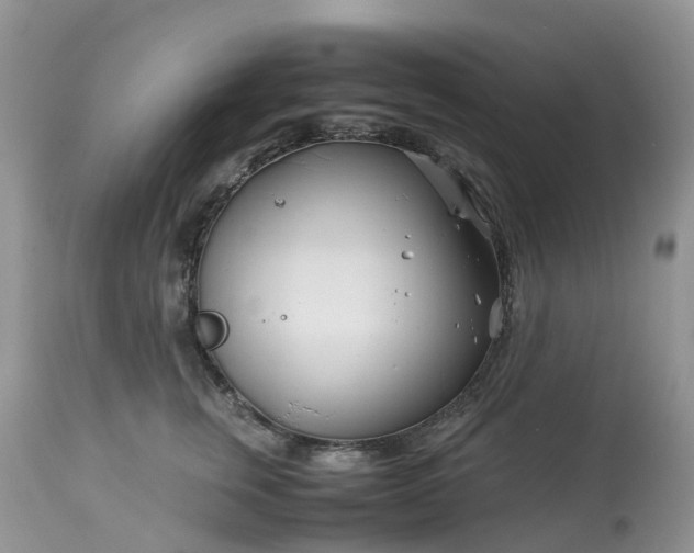 X0000113090759200909111027