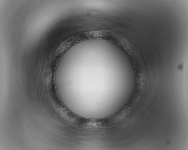 X0000113090760200909111027