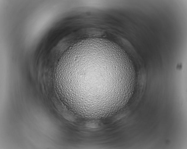 X0000113090761200909111027