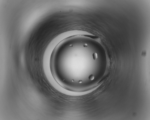 X0000113090762200909111027