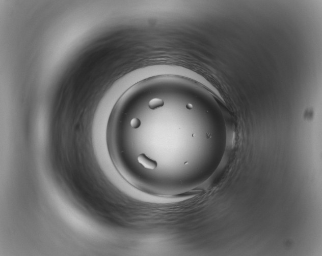 X0000113090764200909111027