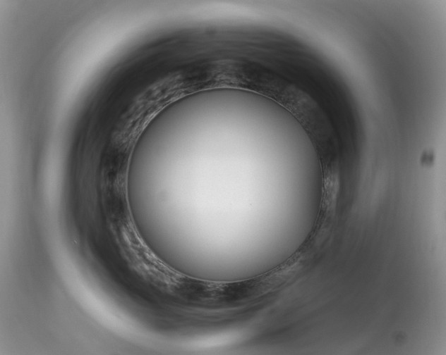 X0000113090765200909111027