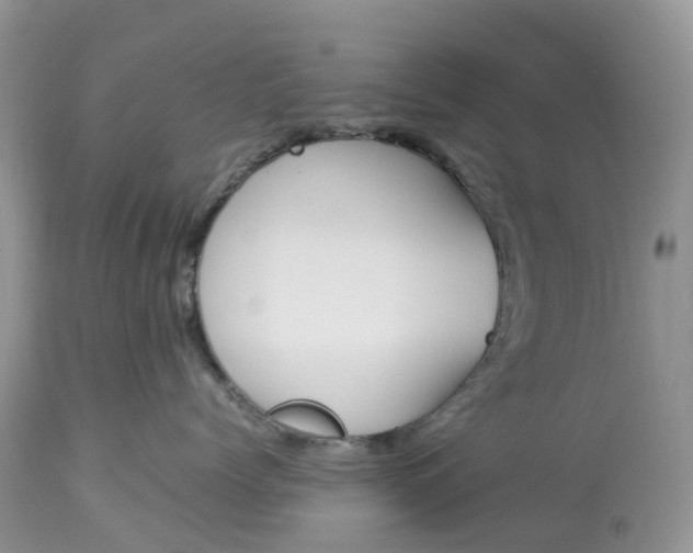 X0000113090768200909111027