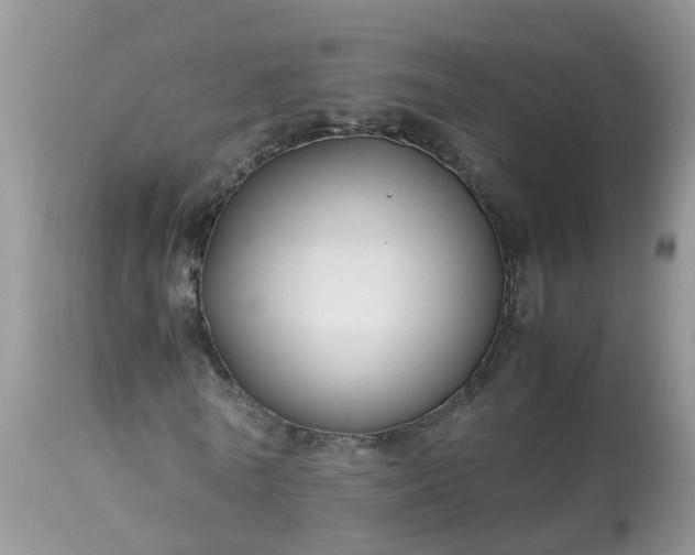 X0000113090770200909111026
