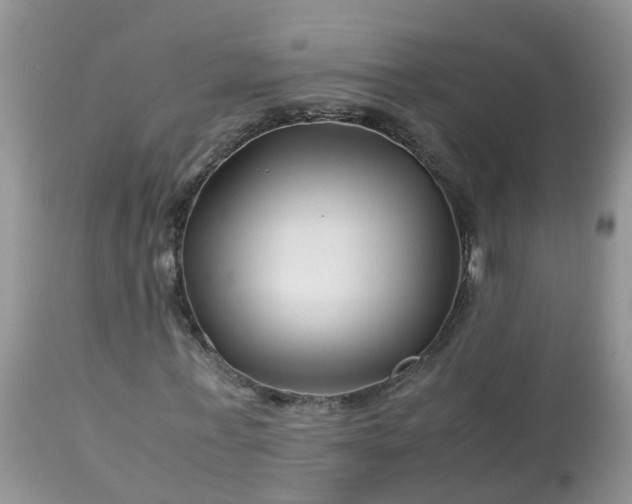 X0000113090771200909111026