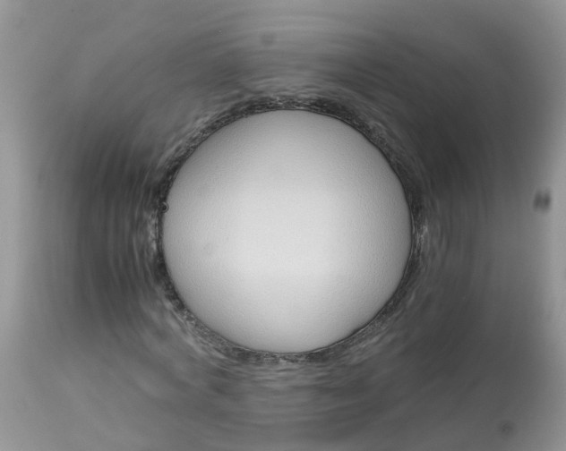 X0000113090772200909111026
