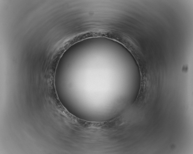 X0000113090773200909111026
