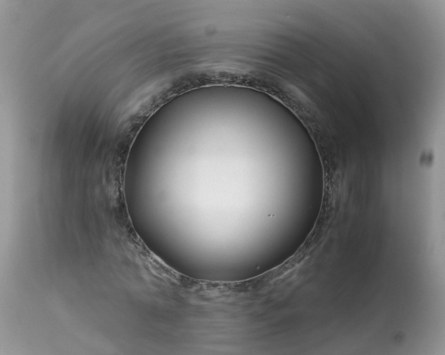 X0000113090774200909111026